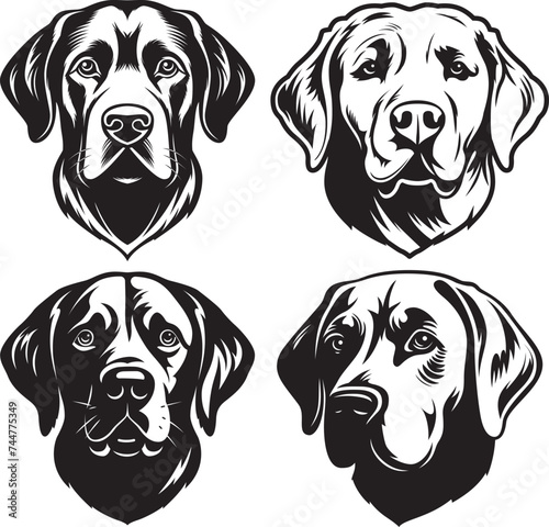 Four Labrador Retriever Heads