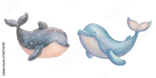 cute whale soft watercolour vector illustration