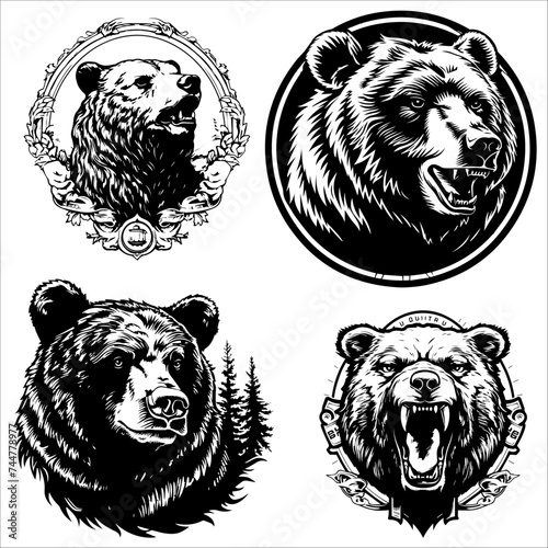 Bear head illustration, logo. Vector drawing of bear on white background