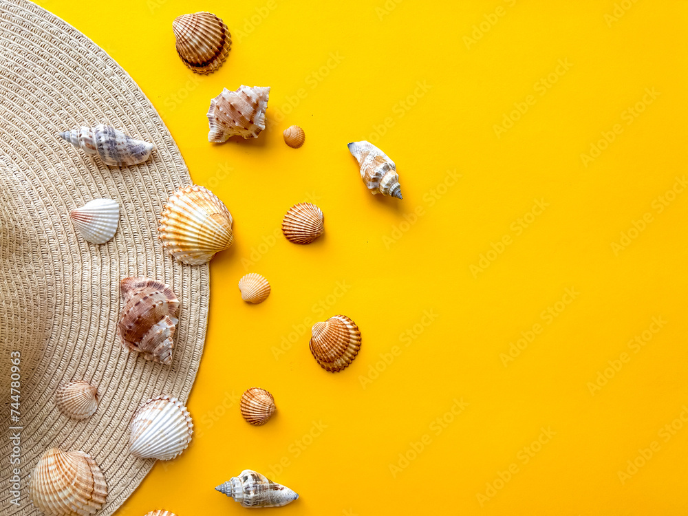 Sea shells on yellow background, summer vacation, top view Sea shells on yellow background, summer vacation, top view