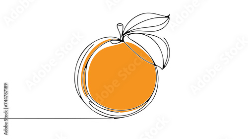 Orange fruit in continuous line art drawing style. Black line sketch on white background. Vector illustration
