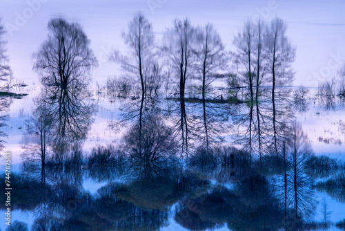 May flood of the Desna River, trees and bushes on the flooded low bank, quiet pre-dawn hour.
Bryansk Forest Nature Reserve