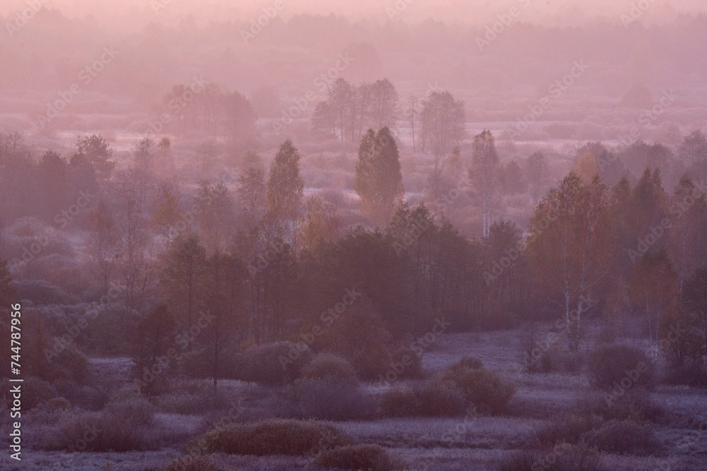 The Bryansk Forest Nature Reserve, a view of the Desna River valley from a high bank, golden autumn, the first October frosts, trees and grass covered with frost, dawn, foggy haze, soft light. The Bryansk Forest Nature Reserve, a view of the Desna River valley from a high bank, golden autumn, the first October frosts, trees and grass covered with frost, dawn, foggy haze, soft light.