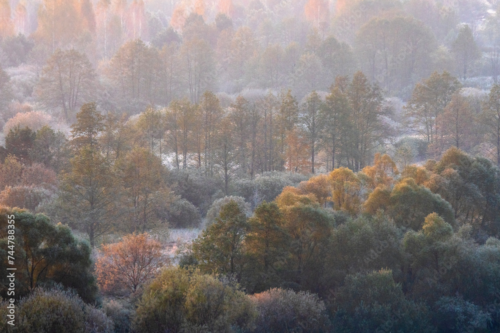 Bryansk Forest Nature Reserve, view of the Desna River valley from the high bank, golden autumn, first October frosts, trees and grass covered with frost, dawn, foggy haze, soft light
