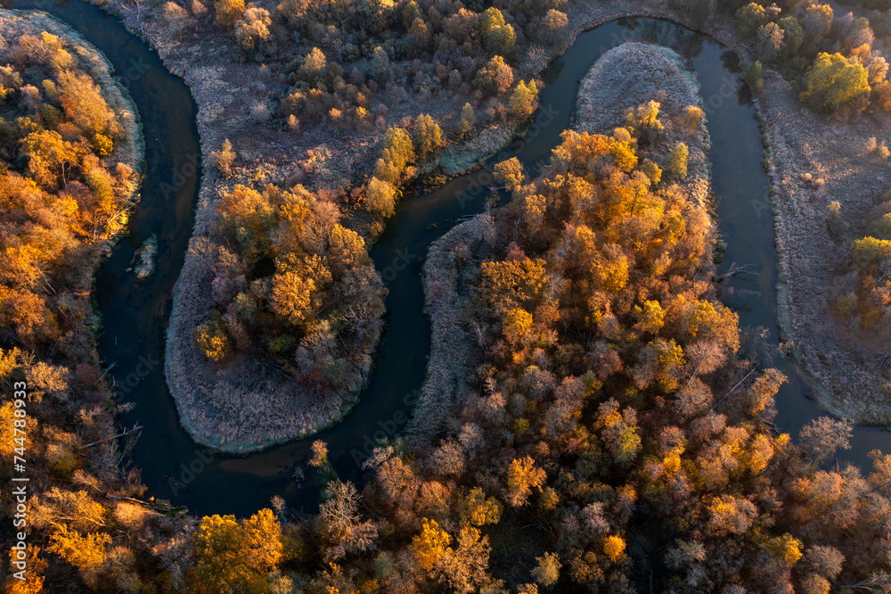 The Bryansk Forest Nature Reserve, the valley of the Desna River, meanders and bends of the Navlya River (a tributary of the Desna). Golden autumn, first October frosts The Bryansk Forest Nature Reserve, the valley of the Desna River, meanders and bends of the Navlya River (a tributary of the Desna). Golden autumn, first October frosts