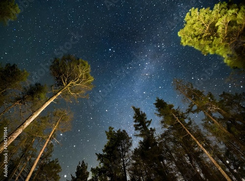 Astro photography in the forest. View from the sky at night  full of stars.