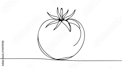 Continuous one line tomato for grocery store, printing on posters and banners. Linear style