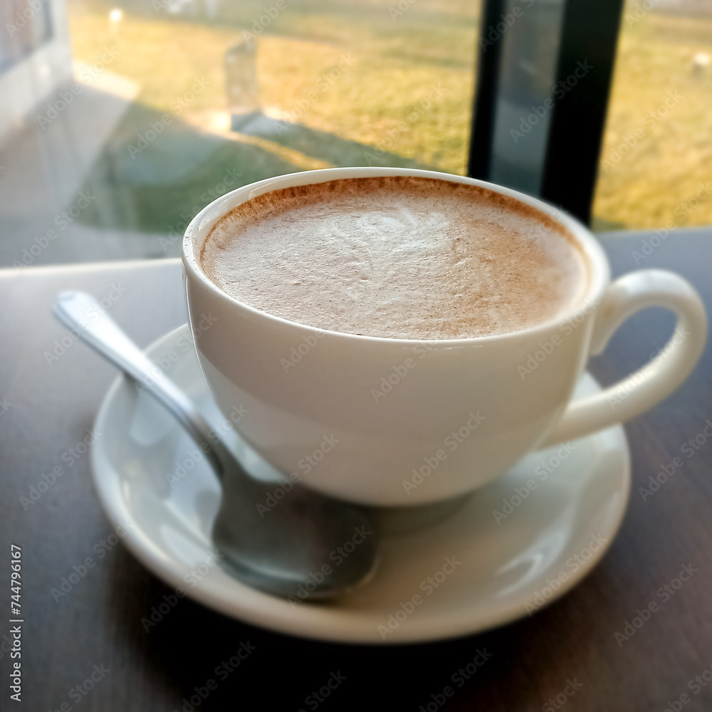 cappuccino with cinnamon in a cup on the table cappuccino with cinnamon in a cup on the table