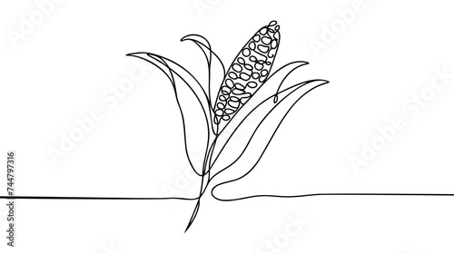 One continuous single drawing line art doodle food, illustration, corn, natural, maize.