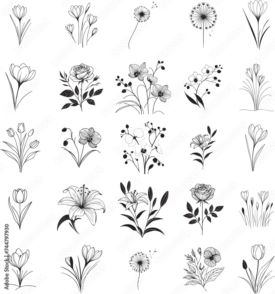 set of black and white flowers, ornament decoration floral shapes of tulip, rose, orchid, lily, corcus, 