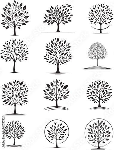 set of trees silhouettes, black and white vector graphics decoration od trees  collection photo