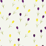 a Spring Floral Pattern. Crocus violet and yellow 