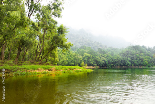 Laguna rodeada de árboles