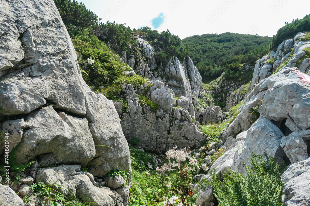Panoramic hiking trail in majestic mountain range of Hochschwab massif, Styria, Austria. Walking on high altitude alpine terrain in remote Austrian Alps in summer. Sense of escape. Nature lover Panoramic hiking trail in majestic mountain range of Hochschwab massif, Styria, Austria. Walking on high altitude alpine terrain in remote Austrian Alps in summer. Sense of escape. Nature lover