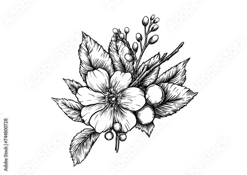 Boutonniere of wild rose flowers and berries Clip art, set of elements for design Graphic drawing, engraving style. Vector illustration. In botanical style