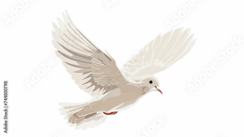 Dove bird flying isolated on white background vector