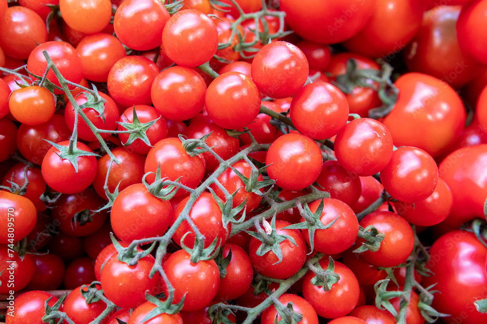 Fresh Cherry Tomatoes Close Up On The Vine
