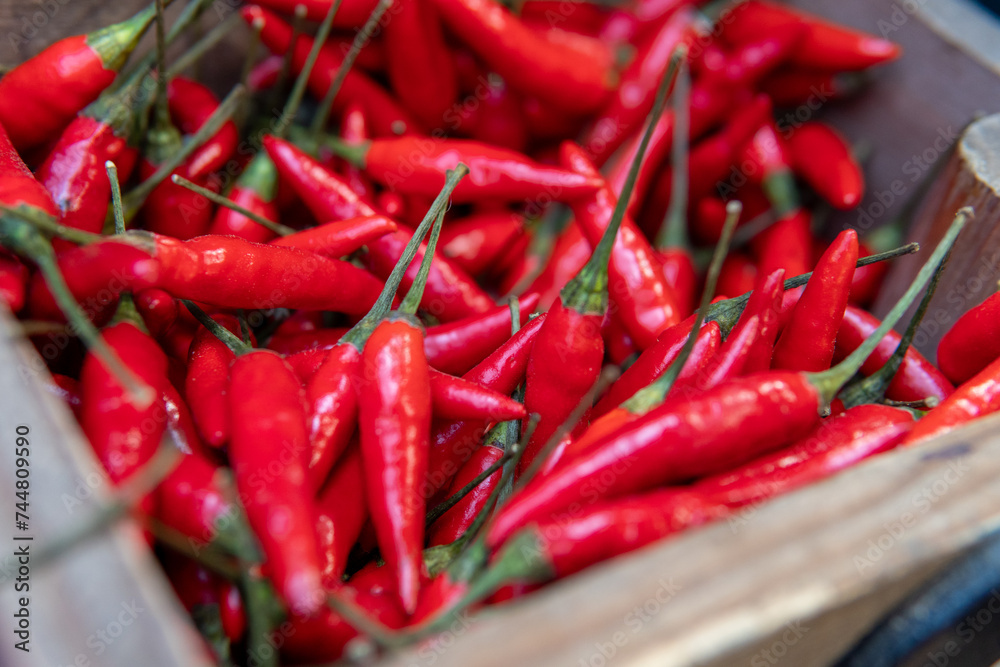 Bird's Eye Chili, Fresh Thai Chili Close Up