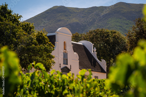  Groot Constantia wine estate near Cape Town, South Africa © Yann