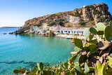 View of Rema beach with green cacti plants in foreground, Kimolos island, Cyclades, Greece