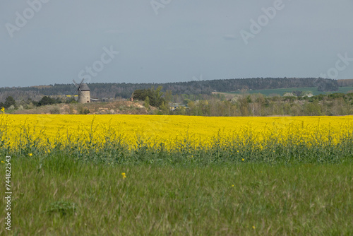 Wanderung bei Ballenstedt, Sachsen-Anhalt, Teufelsmauer photo