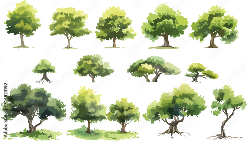 Set of watercolor green tree isolated on white background for landscape and architecture drawing, elements for environment and garden, botanical for section in spring. Watercolor trees collection