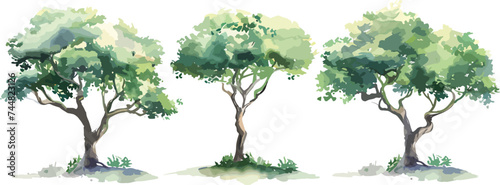 Set of watercolor green tree isolated on white background for landscape and architecture drawing, elements for environment and garden, botanical for section in spring. Watercolor trees collection