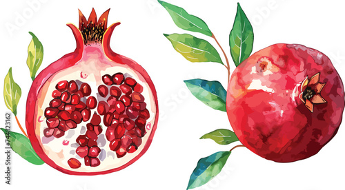 Pomegranate fruit set whole and half and green leaves. Watercolor hand drawn vector illustration isolated on white background