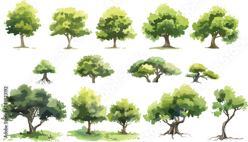 Set of watercolor green tree isolated on white background for landscape and architecture drawing, elements for environment and garden, botanical for section in spring. Watercolor trees collection