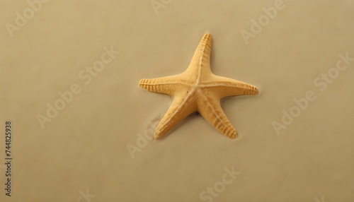 Starfish on the sand