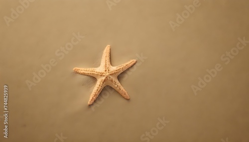 Starfish on the sand © Lied
