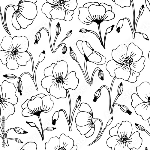 Vector botanical seamless pattern with california poppy flowers. Hand drawn seamless pattern with floral elements isolated on white background.
