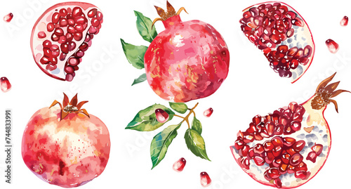 Watercolor pomegranate fruit set whole and half and green leaves. Watercolor hand drawn vector illustration isolated on white background