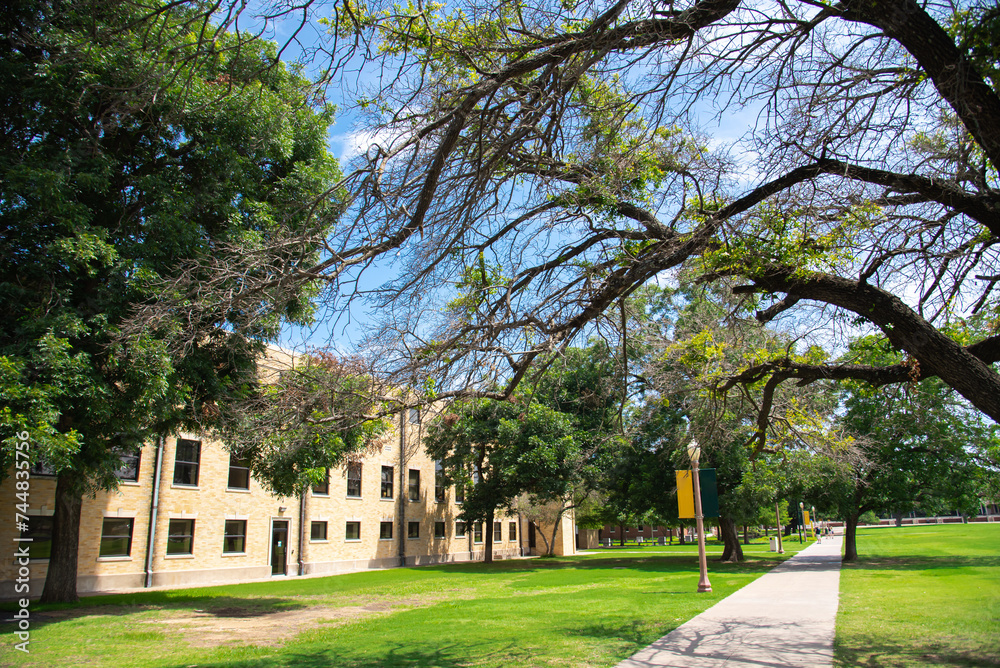 Concrete walkway canopy tree, light pole banners and student walking along, historic buildings large college campus in Texas, grassy lawn quad courtyard, ample green space, education, landscaping
