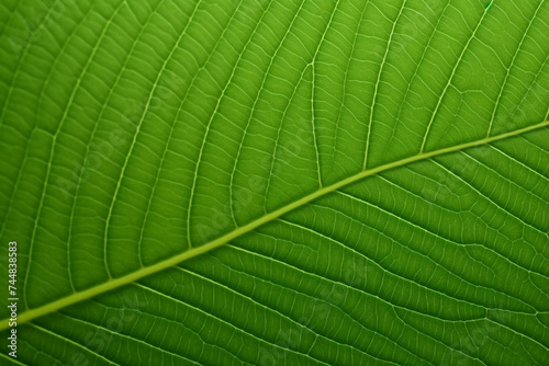 Green leaf pattern on the surface