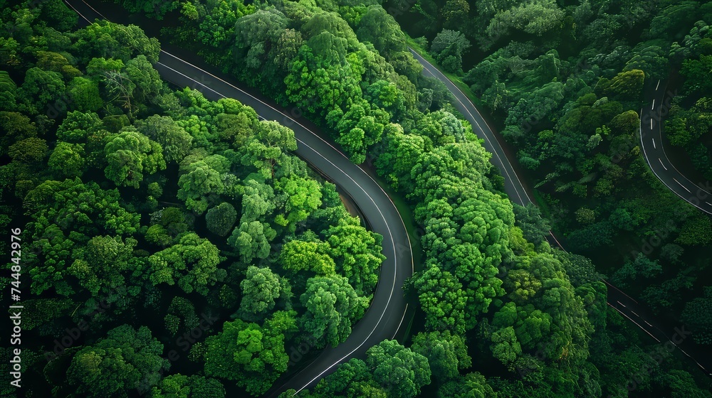 Aerial view of a curve road going through the middle of the forest