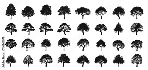 Tree collection. Tree vectors. Tree silhouettes
