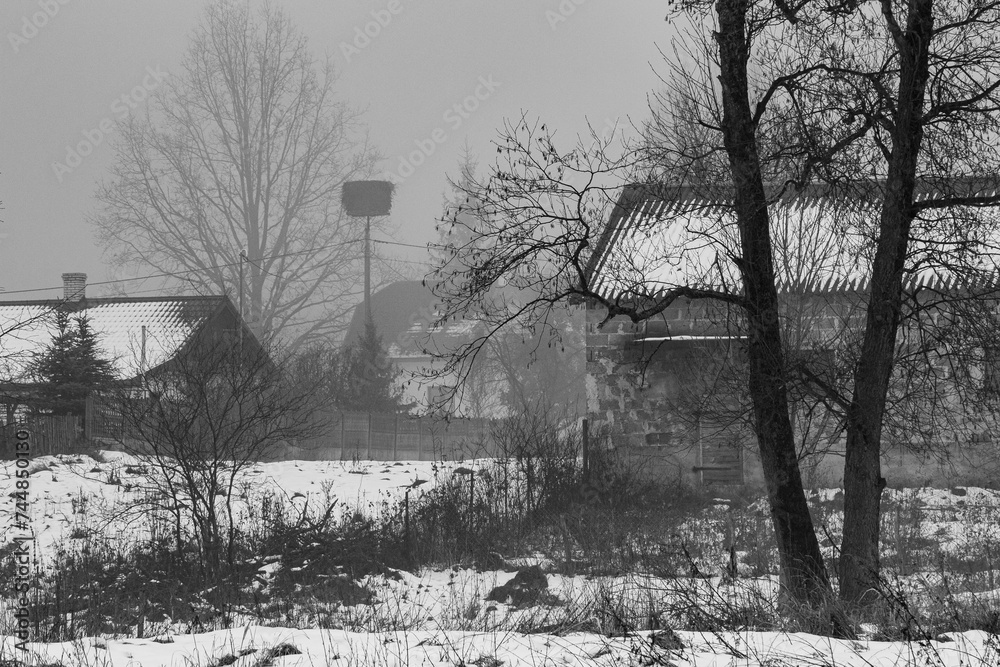foggy Country in eastern Poland - black and white