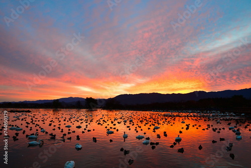 瓢湖と朝焼け（新潟県）