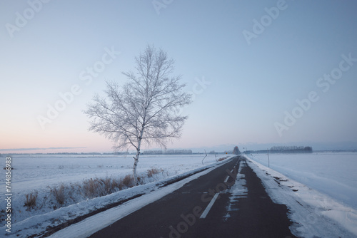 冬の道 © makieni