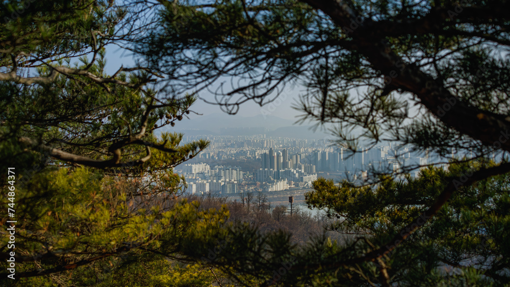 Cityscape seen through pine trees view from mountain Achasan. Cityscape seen through pine trees view from mountain Achasan.
