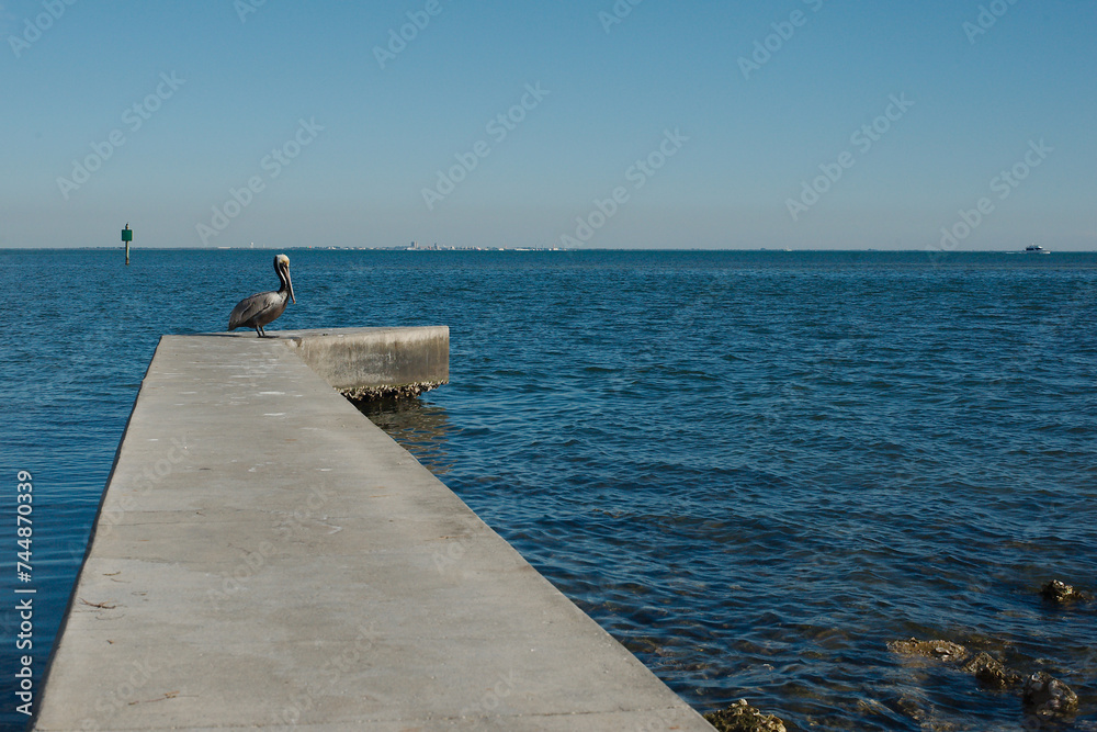 Leading lines View out concrete walkway of a bock dock to a pelican perched at the end. Rocks in foreground with boat on right. Looks out south to blue water of Tampa Bay Florida. At Bay Vista Park.
