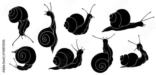 A set of silhouettes and stencils of snails. Vector graphics.