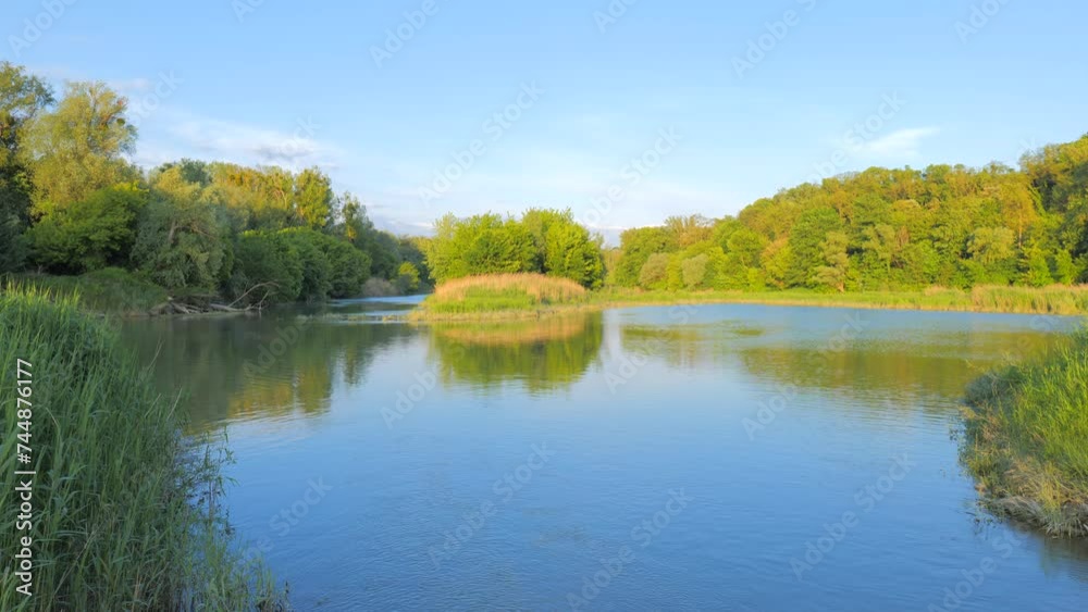 A Sunny Day in May in the Danube Wetlands in Austria A Sunny Day in May in the Danube Wetlands in Austria