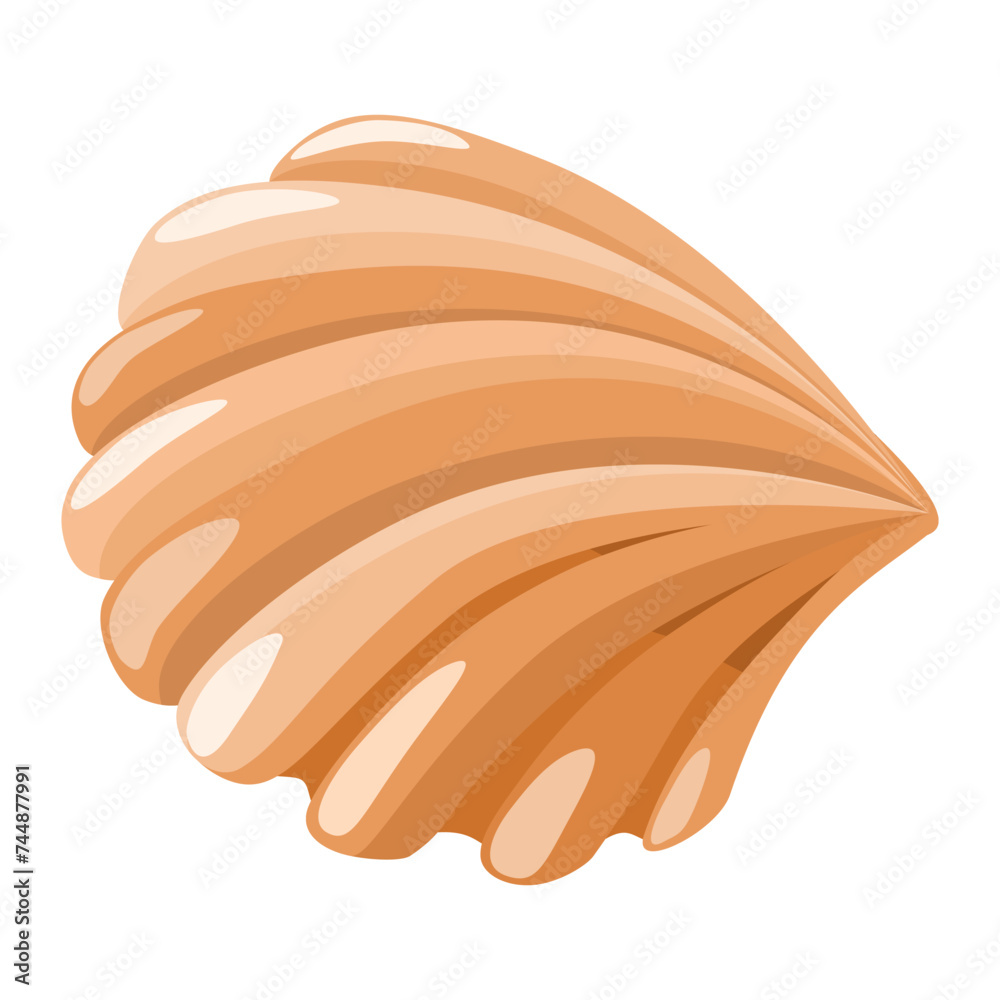 Seashell in flat technique vector illustration Seashell in flat technique vector illustration