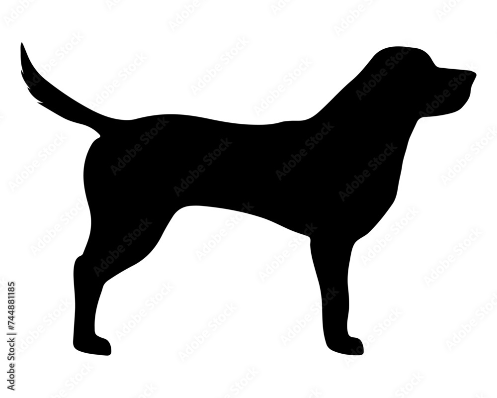 Labrador silhouette, vector black of a dog