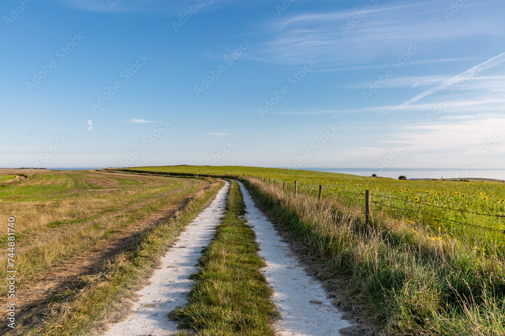 Looking along a chalk pathway in the South Downs with the sea in the far distance