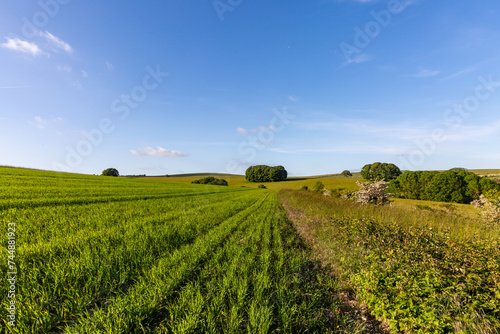 A rural Sussex farm landscape with a blue sky overhead