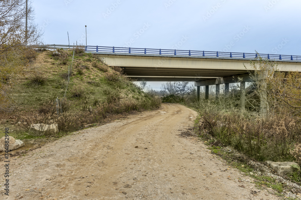 A dirt road passing under a highway bridge with two independent carriageways with circular concrete pillars