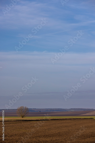 agricultural fields in winter after the snow melts